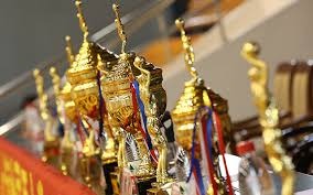 大谷翔平伤势评估结果出炉