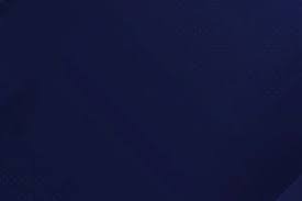 巴蒂斯图塔：梅西会以最好的状态备战明年世界杯！