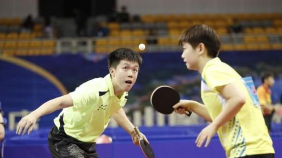 韧带和关节 韧带和关节